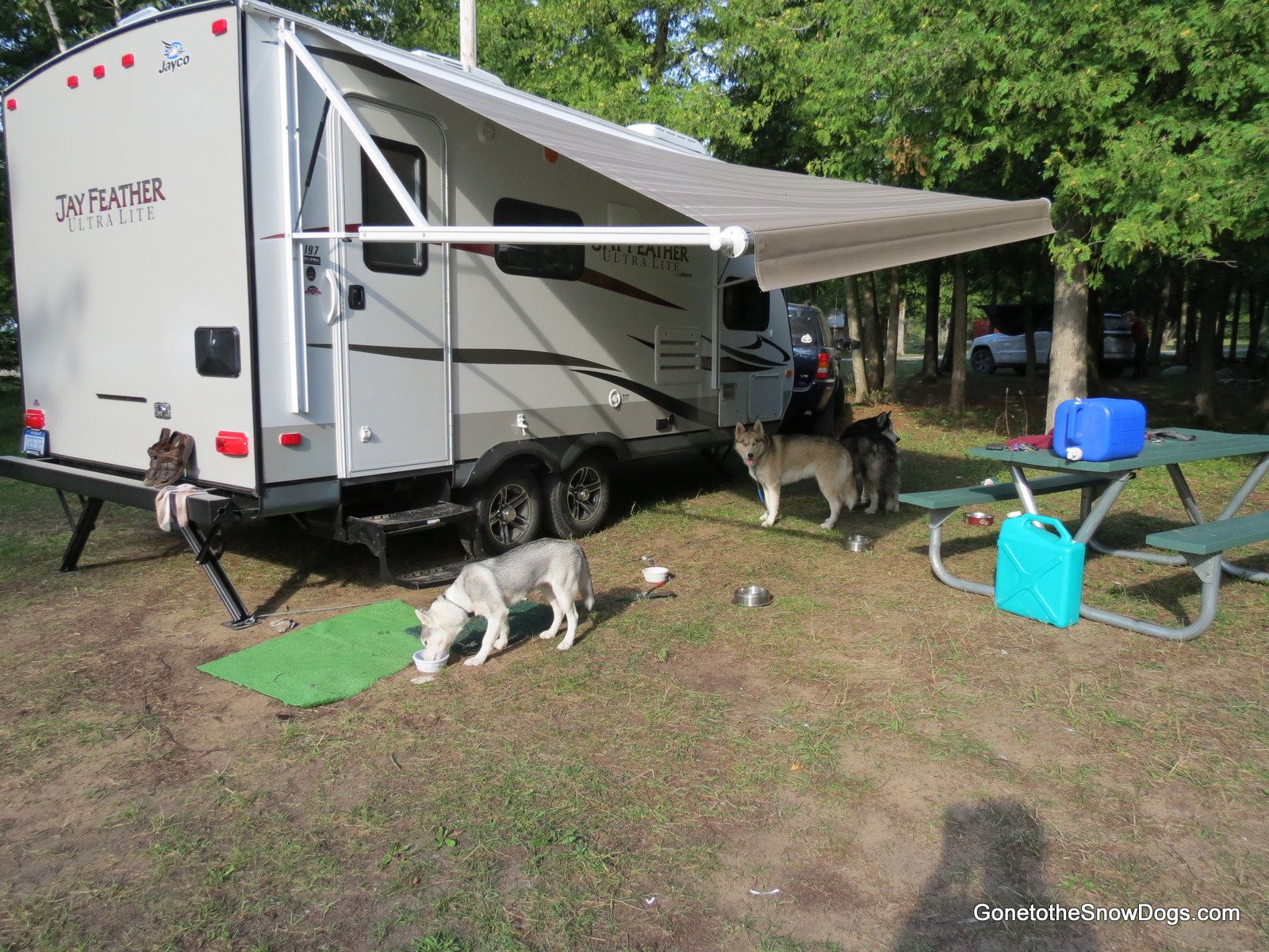 How to prepare for Camping with your Dog Gone to the Snow Dogs