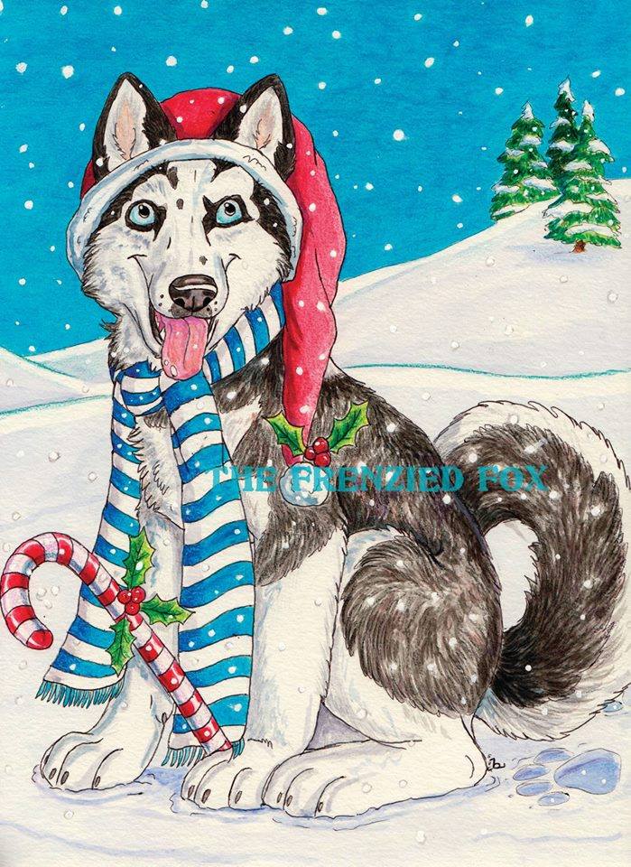 Siberian Husky Christmas Cards 