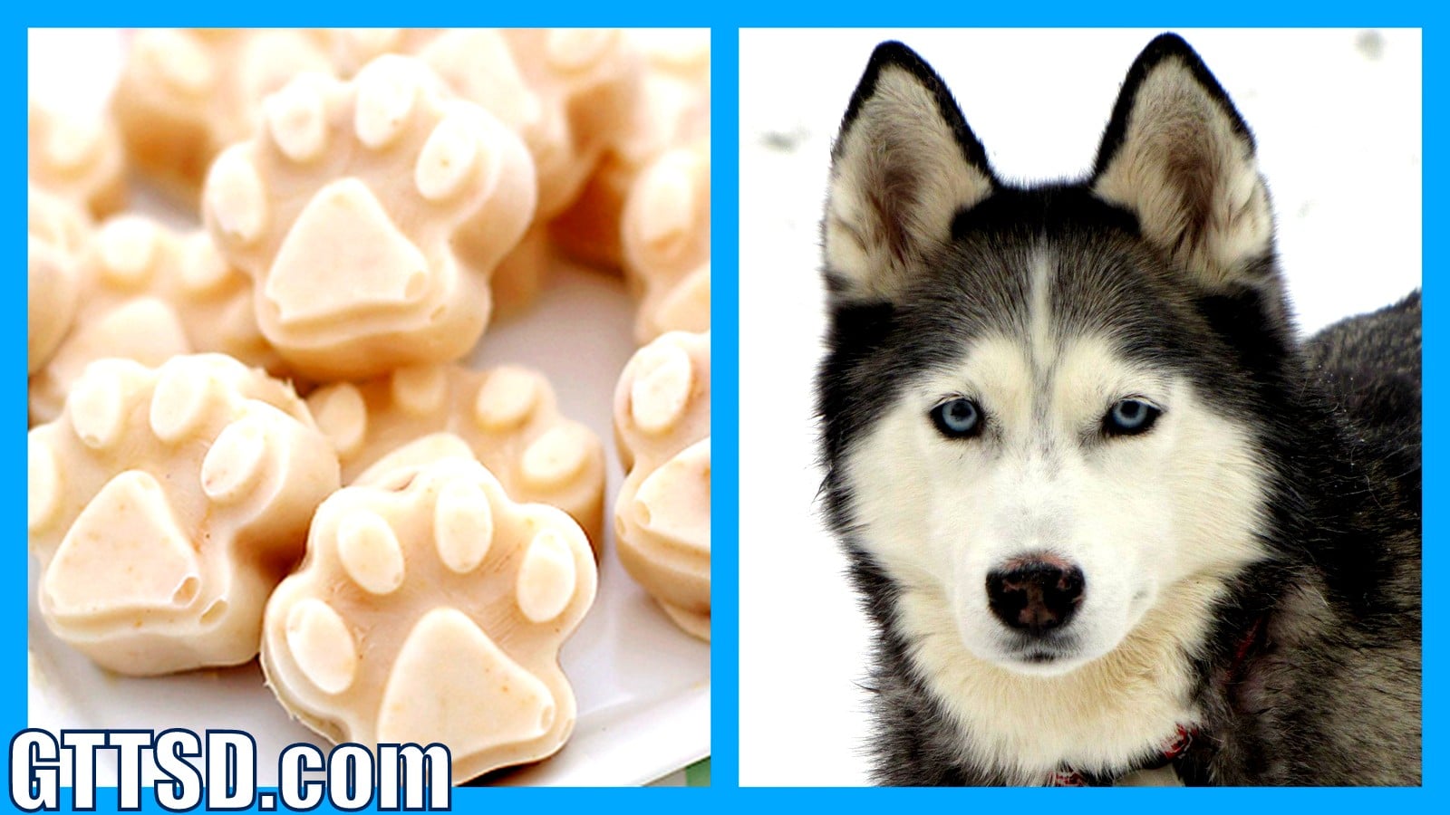 homemade frosty paws for dogs