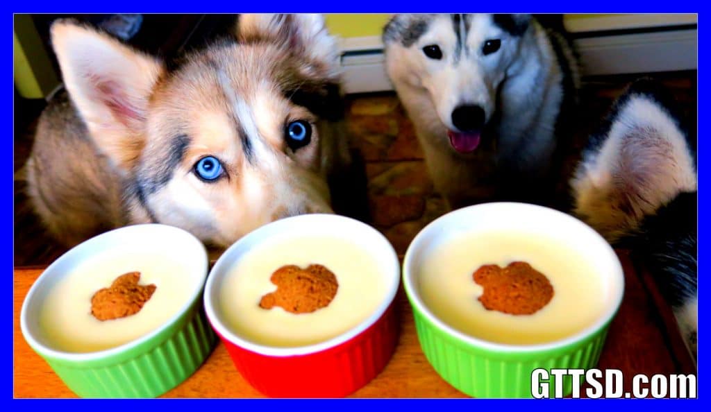 DIY DOG EGGNOG Christmas Dog Treats Gone to the Snow Dogs Siberian