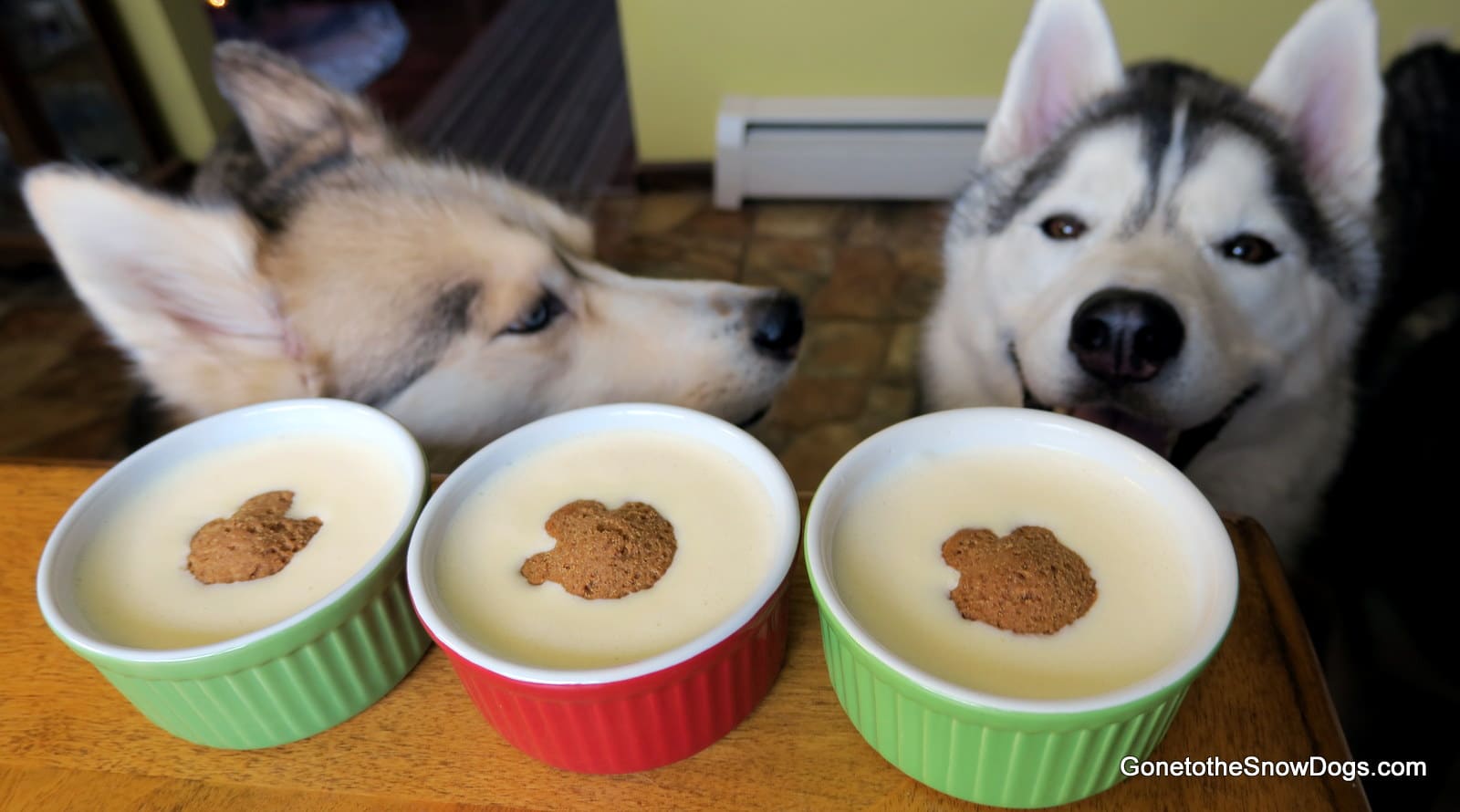 DIY DOG EGGNOG Christmas Dog Treats Gone to the Snow Dogs Siberian