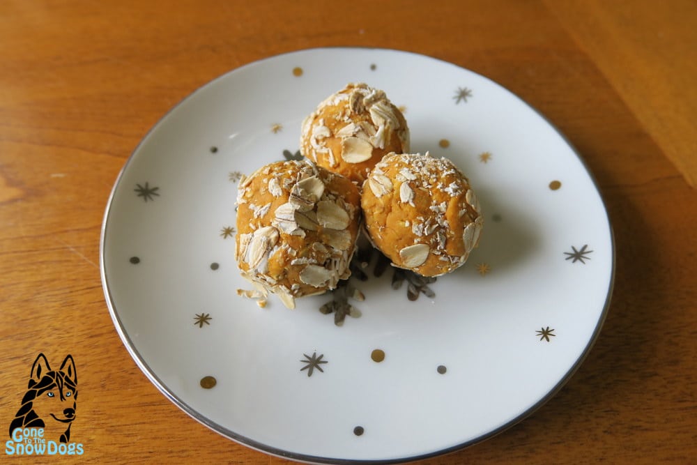 NO BAKE PEANUT BUTTER DOG COOKIES DIY DOG TREATS Gone to the Snow