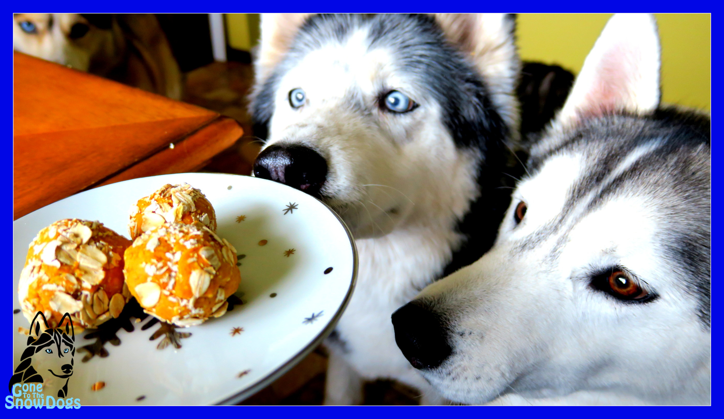 NO BAKE PEANUT BUTTER DOG COOKIES DIY DOG TREATS Gone to the Snow