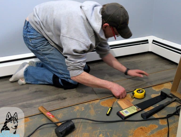 What is the Best Flooring for Dogs Best Flooring for Pets Pergo