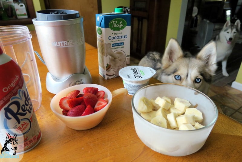 DIY DOG SMOOTHIE Strawberry Banana Smoothie DIY Dog Treats Gone to
