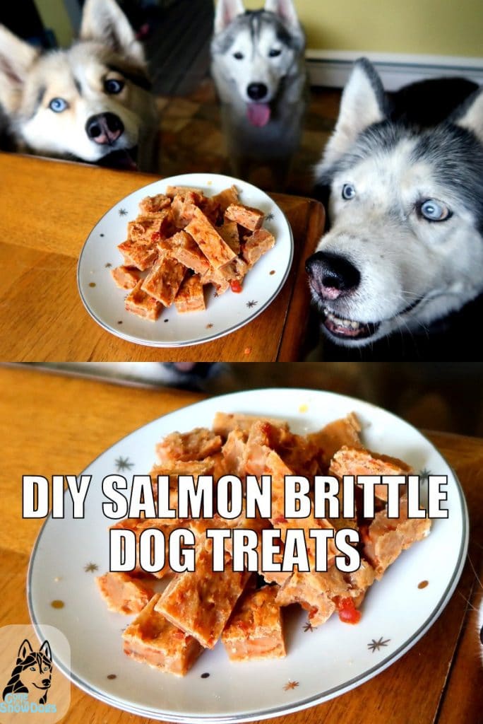DIY DOG TREATS SALMON BRITTLE - Gone to