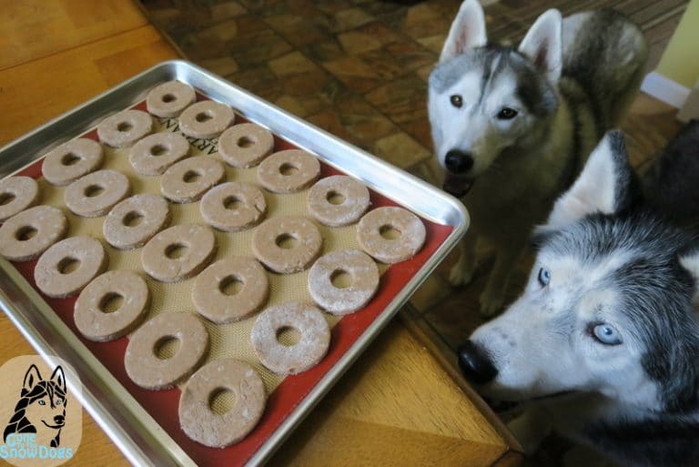 APPLE CINNAMON DONUTS FOR DOGS DIY Dog Treats Gone to the Snow Dogs