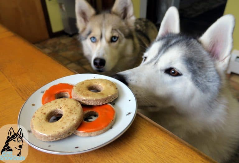 APPLE CINNAMON DONUTS FOR DOGS DIY Dog Treats Gone to the Snow Dogs