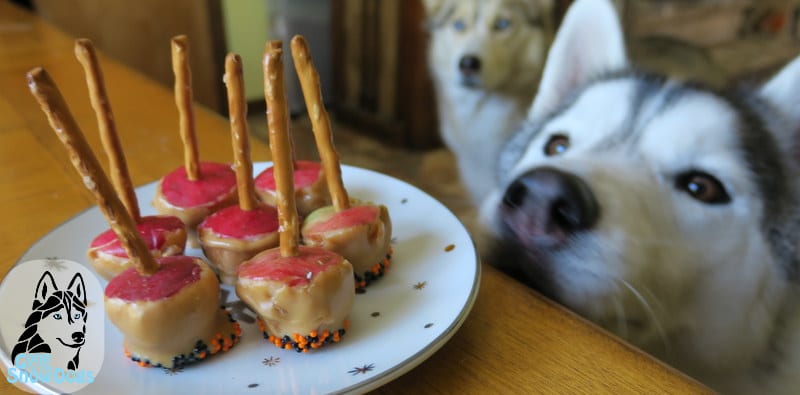 apple peanut butter dog treats