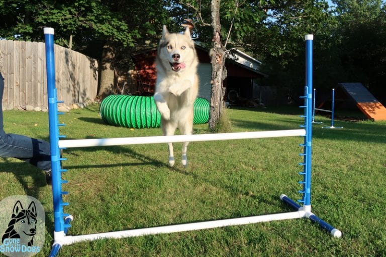 DIY Build Your Own Agility Jumps for Backyard Fun Gone to the Snow