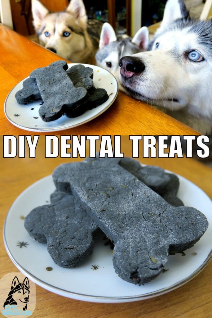 DIY DENTAL TREATS FOR DOGS - Gone to