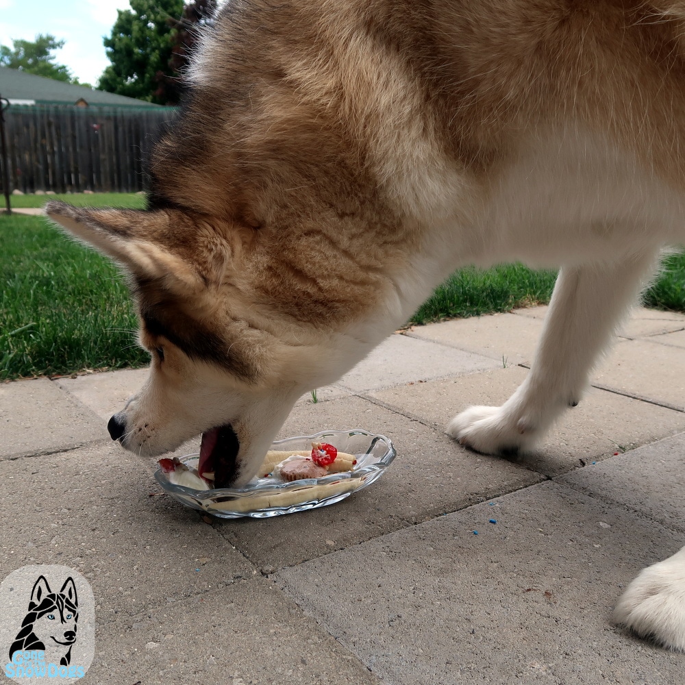 DIY BANANA SPLIT FOR DOGS DIY Dog Treats Gone to the Snow Dogs