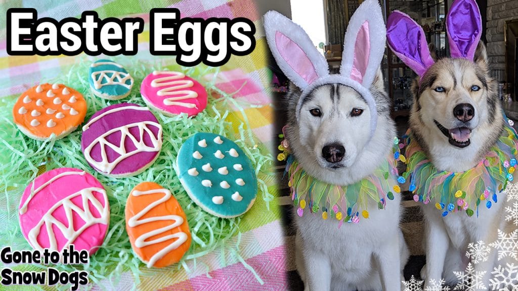 How to Make Easter Eggs for Dogs DIY Dog Treats Gone to the Snow