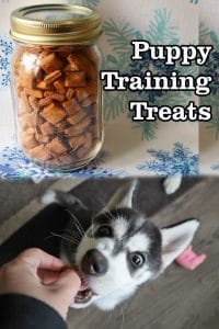 homemade puppy training treats